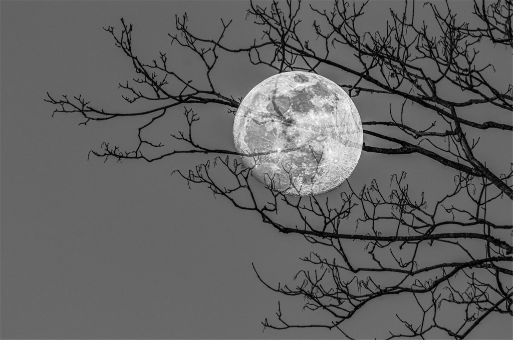 Pleine lune - CCAS.fr