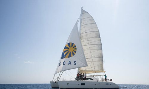 sejour-cotier-catamaran-h2024