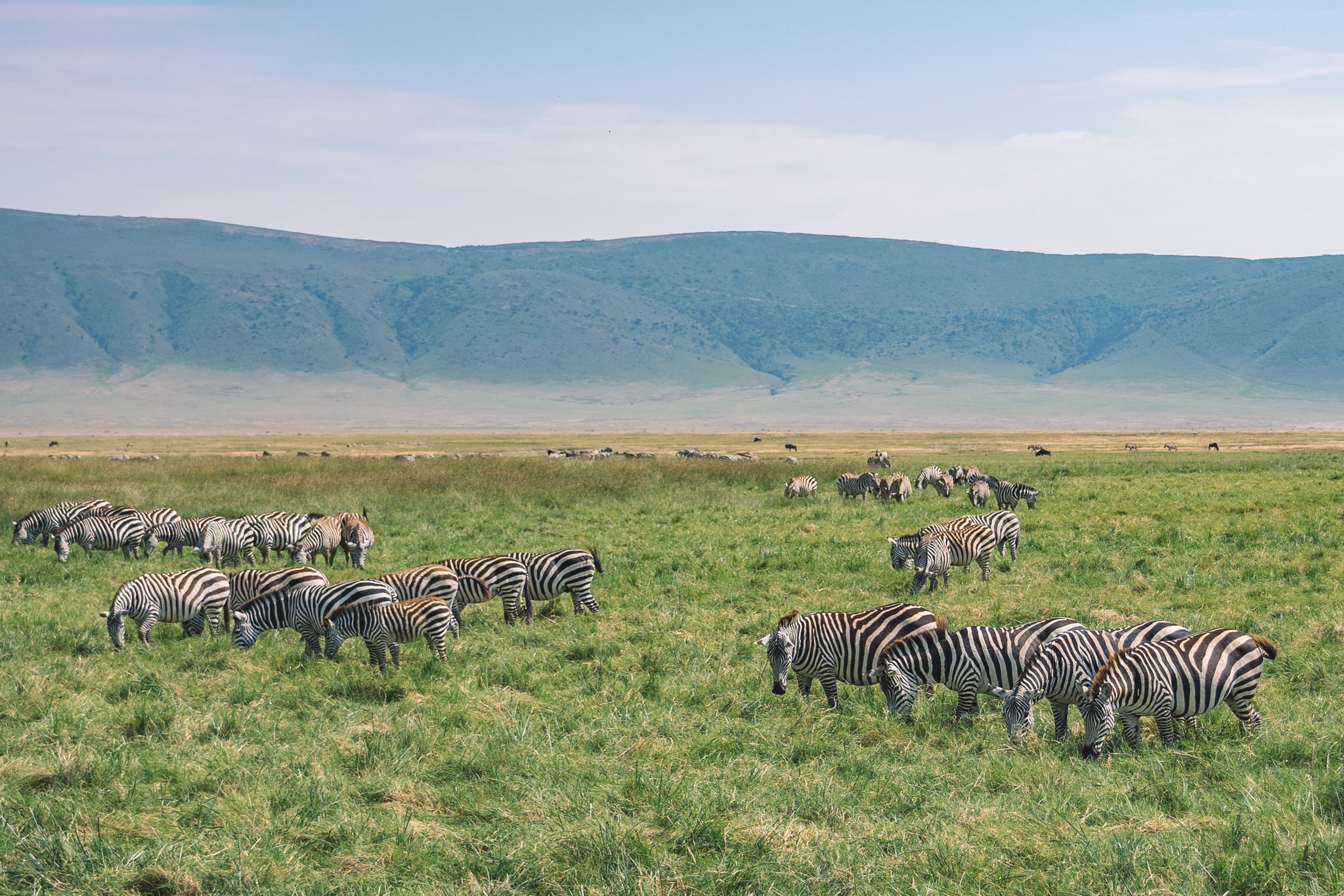 Tanzanie - Au cœur de la Tanzanie authentique, safari avec extension Zanzibar - CCAS.fr