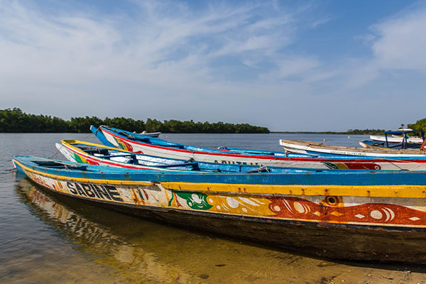 Sénégal - Rencontres en pays Diola - CCAS.fr