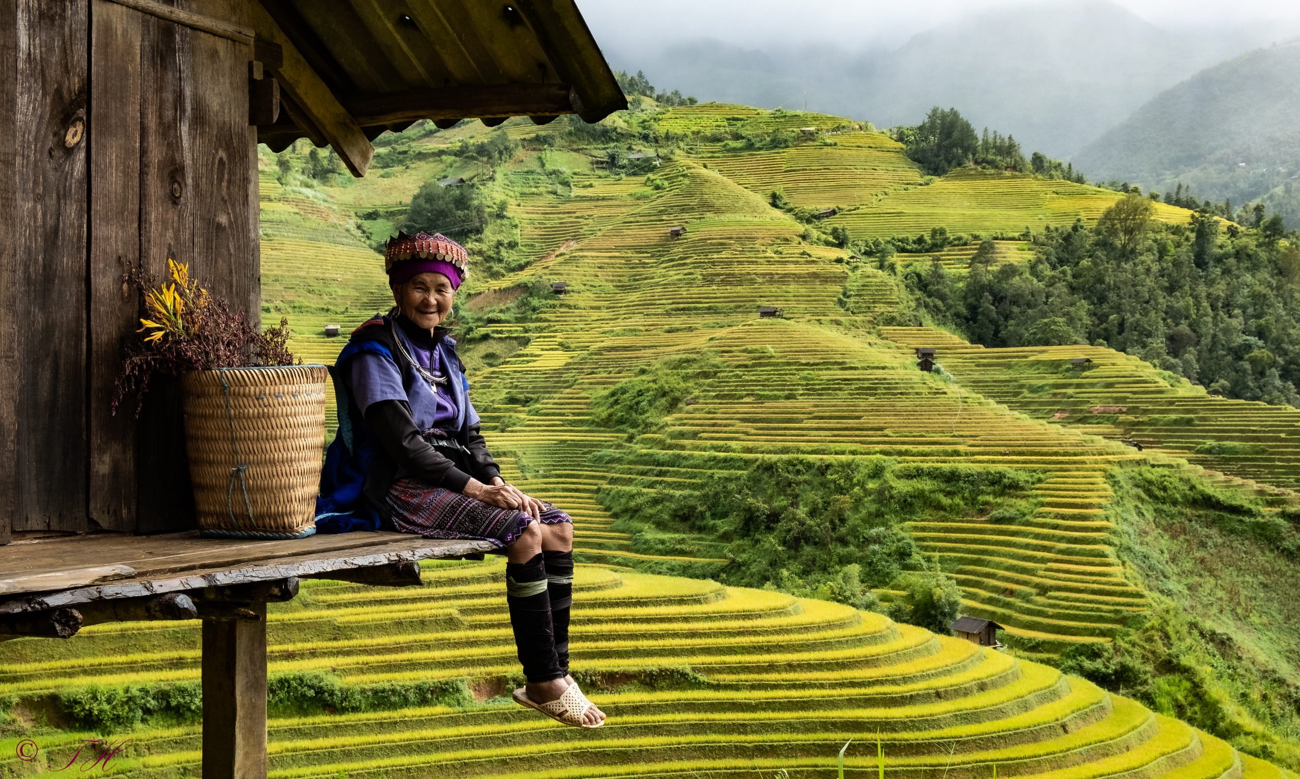 Vietnam - Les incontournables du nord - CCAS.fr